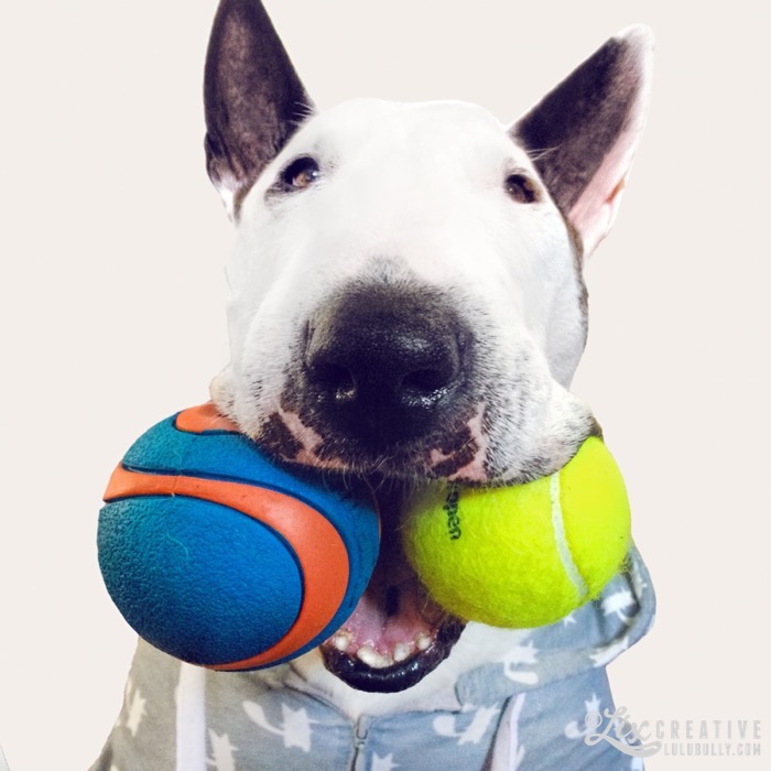 Buttface Charlie Terence