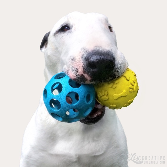 Buttface Stanley Yollum