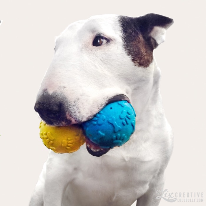 Buttface double Gollum