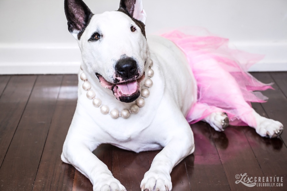 Luie 12th birthday 8098 Watermarked 1