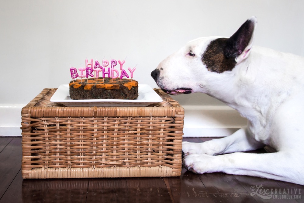 Luie 12th birthday 8141