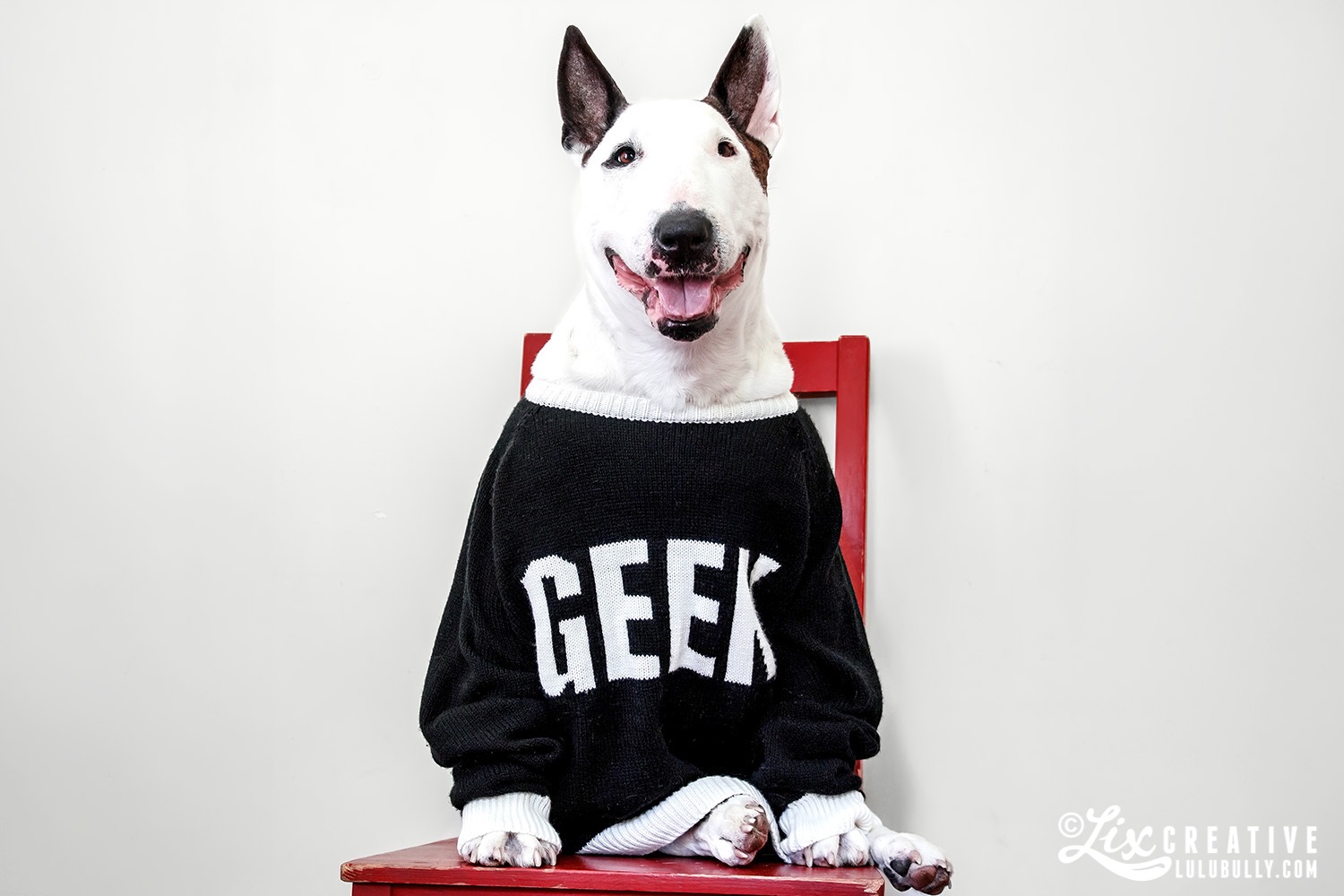 Luie dressup GEEK 7807 1500px