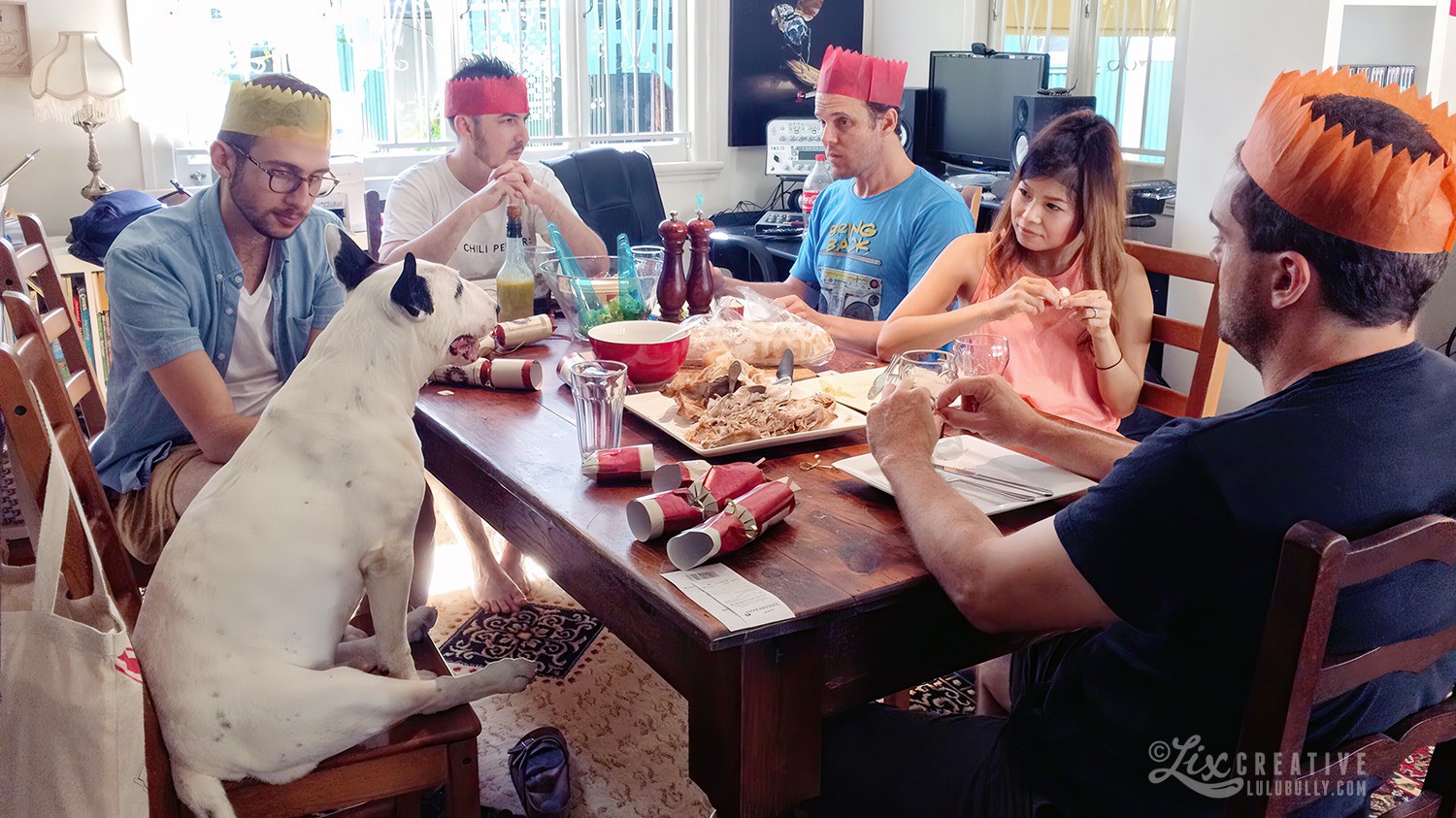 LuluBully Christmas 2014 5973 1500px 1