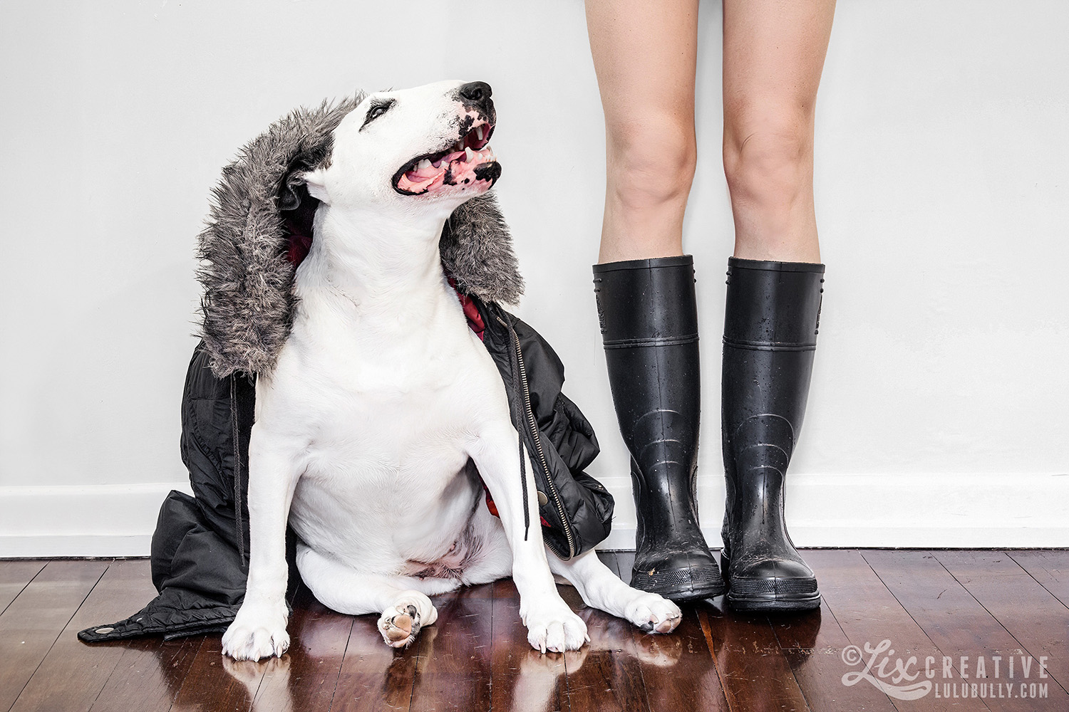 LuluBully RainyDay 8682 1500px 1