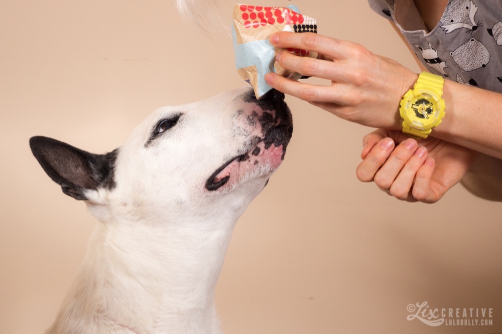 Lulu 14th Birthday 0964 Watermarked 1