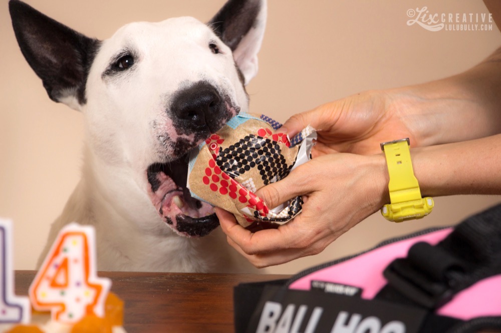 Lulu 14th Birthday 0971 Watermarked 1