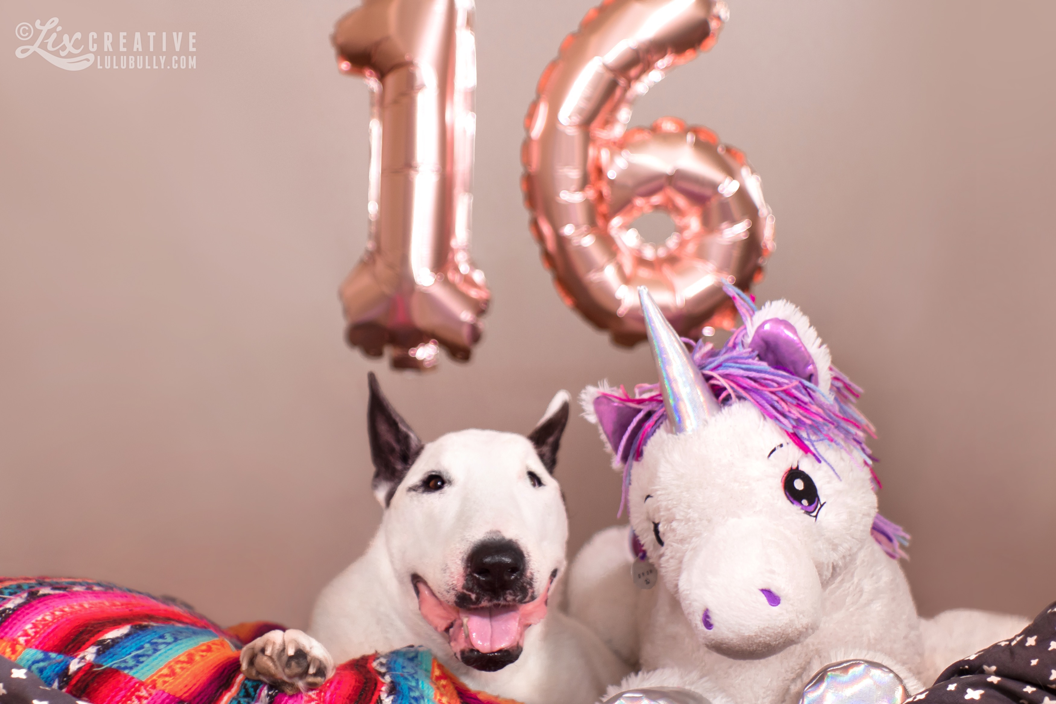 Lulu 16th birthday 2019 5750