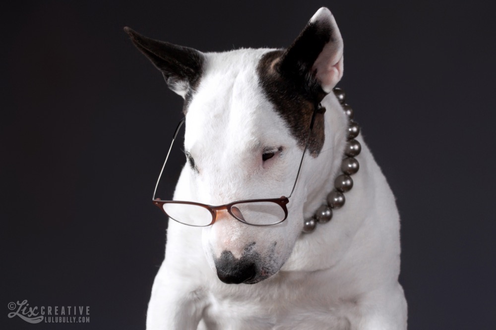 Lulu Beadie Babies 2015 7667