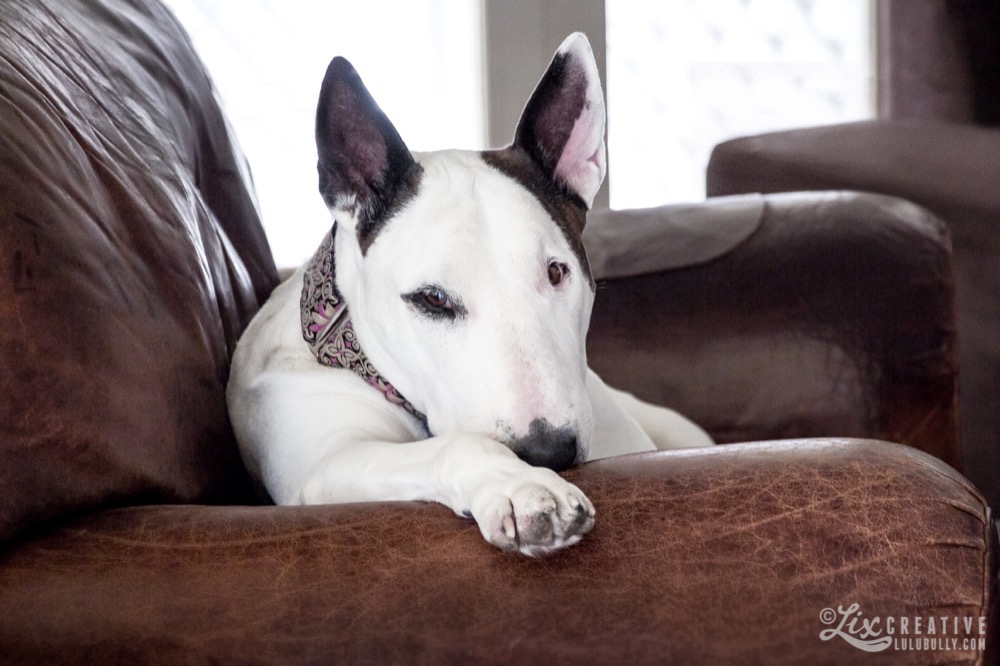 Lulu Chair 6387 cropped Watermarked 1