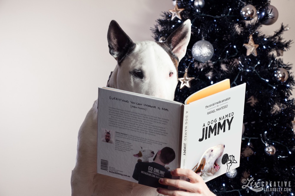 Lulu Christmas 8683 Watermarked 1