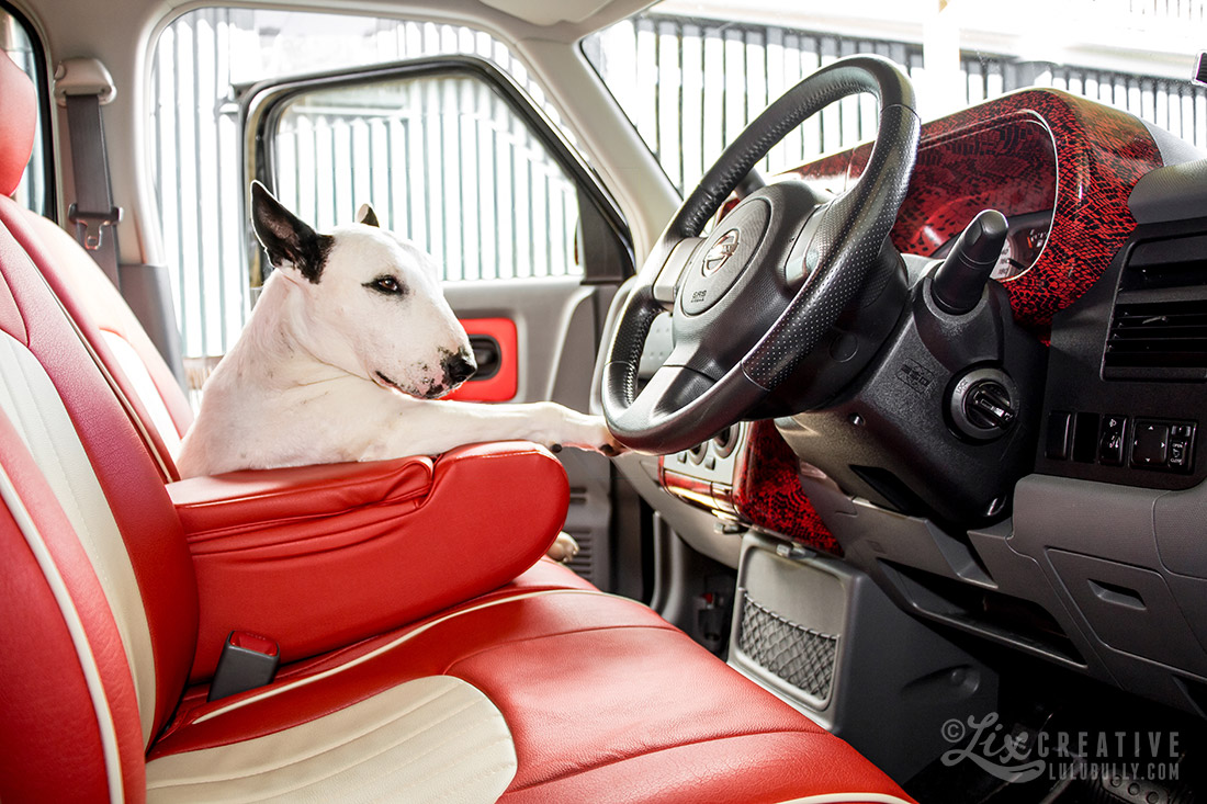 Lulu Cube 9857 1100px WM