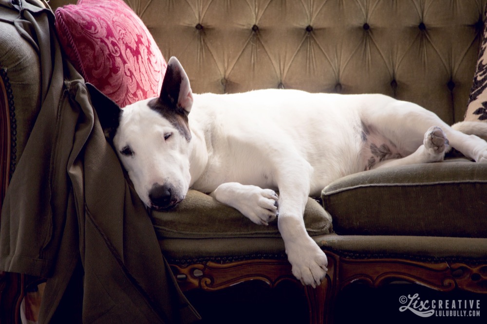 Lulu Graceville 2015 7103 Watermarked 1