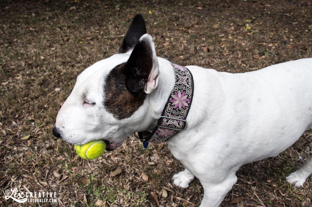 Lulu July21 2014 6400