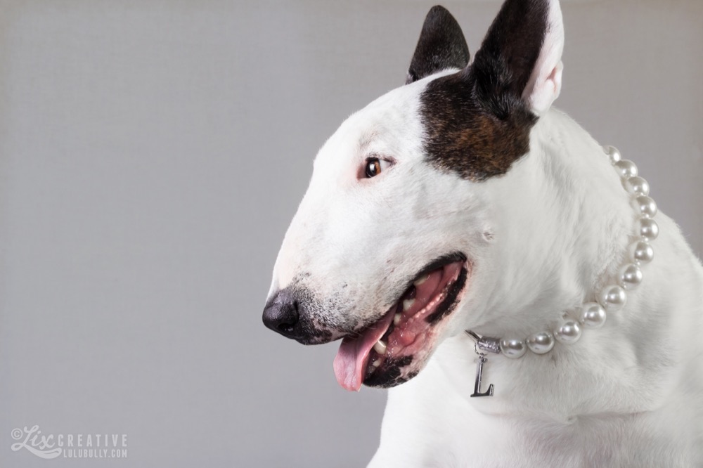 Lulu L Plates 2015 8472