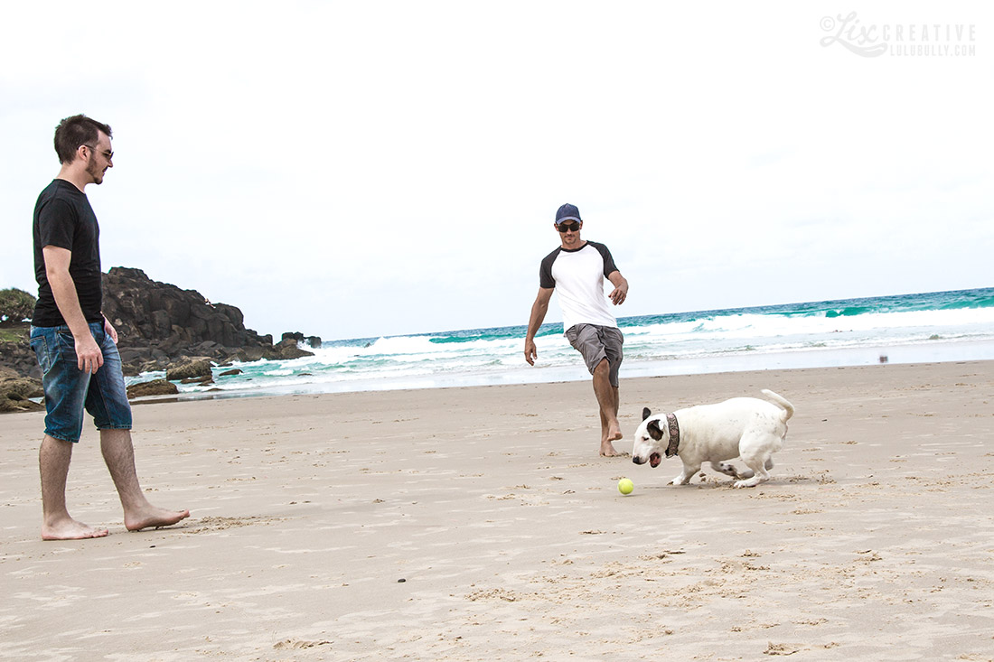 Luie PointDanger Beach Jan5 2015 7956 1100px WM