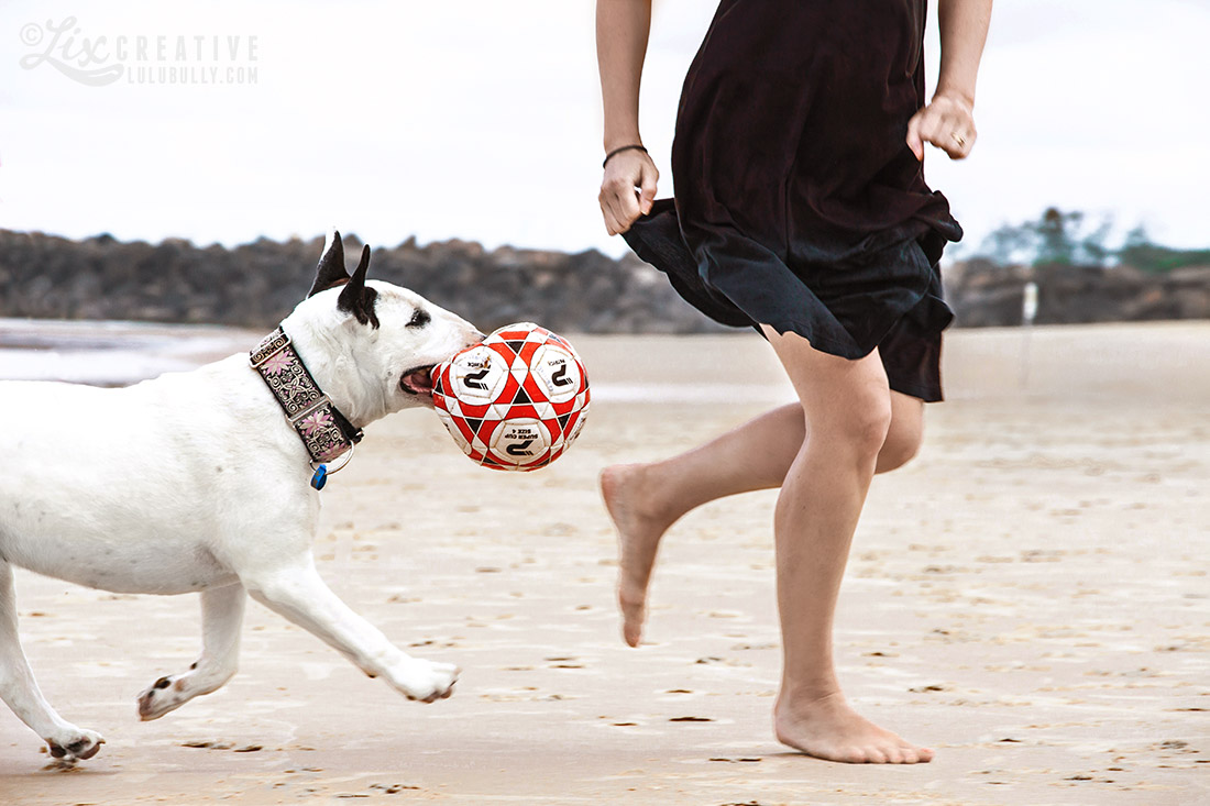 Luie PointDanger Beach Jan5 2015 7977 1100px WM