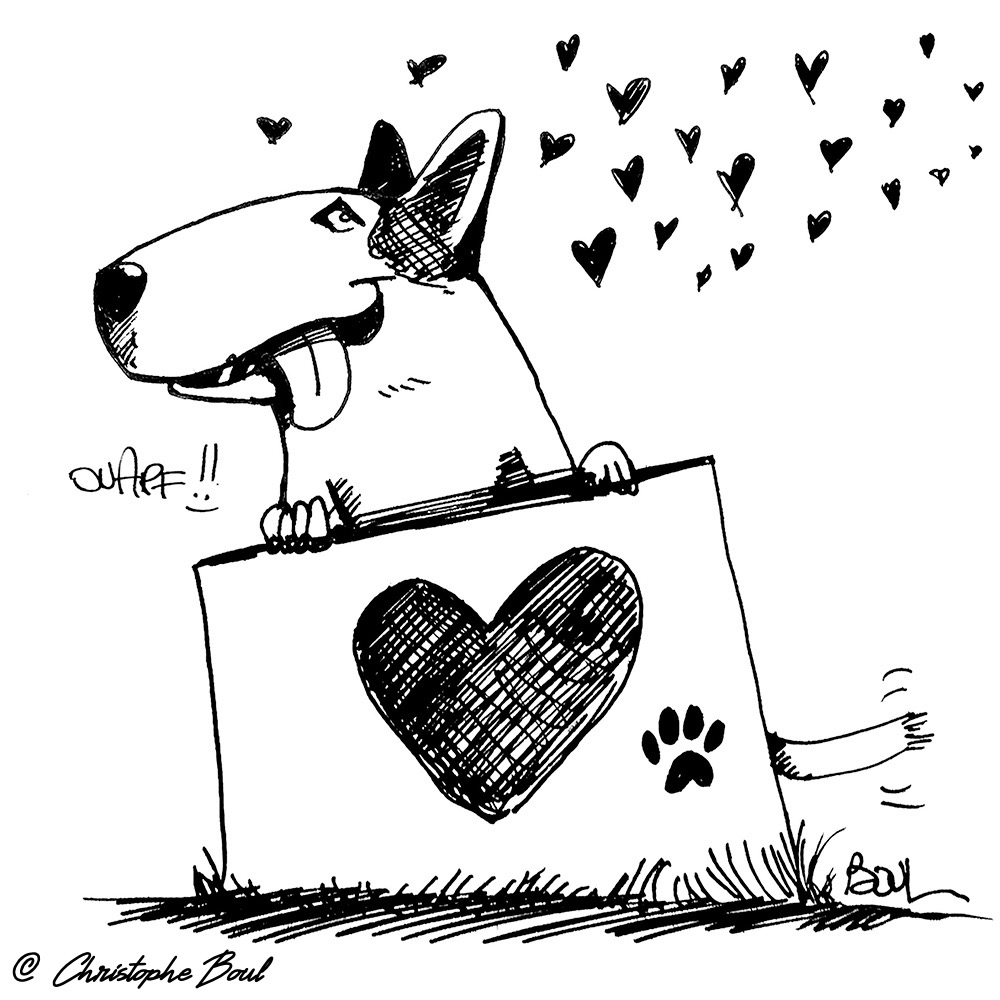 LuluBully 2016 ChristopheBoul illustration 1000px