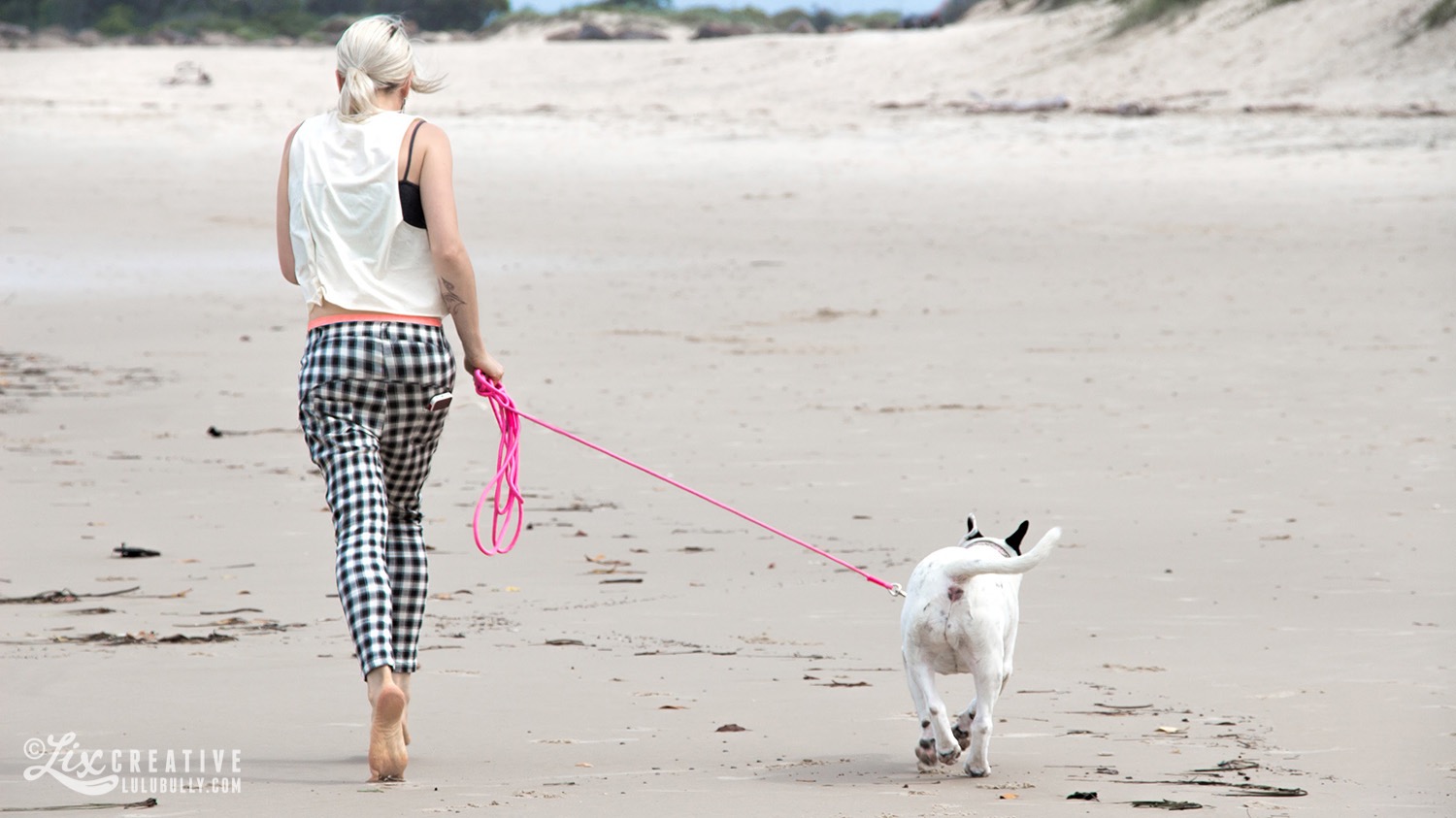 LuluBully PointDanger Beach Jan5 2015 7853 1500px 1