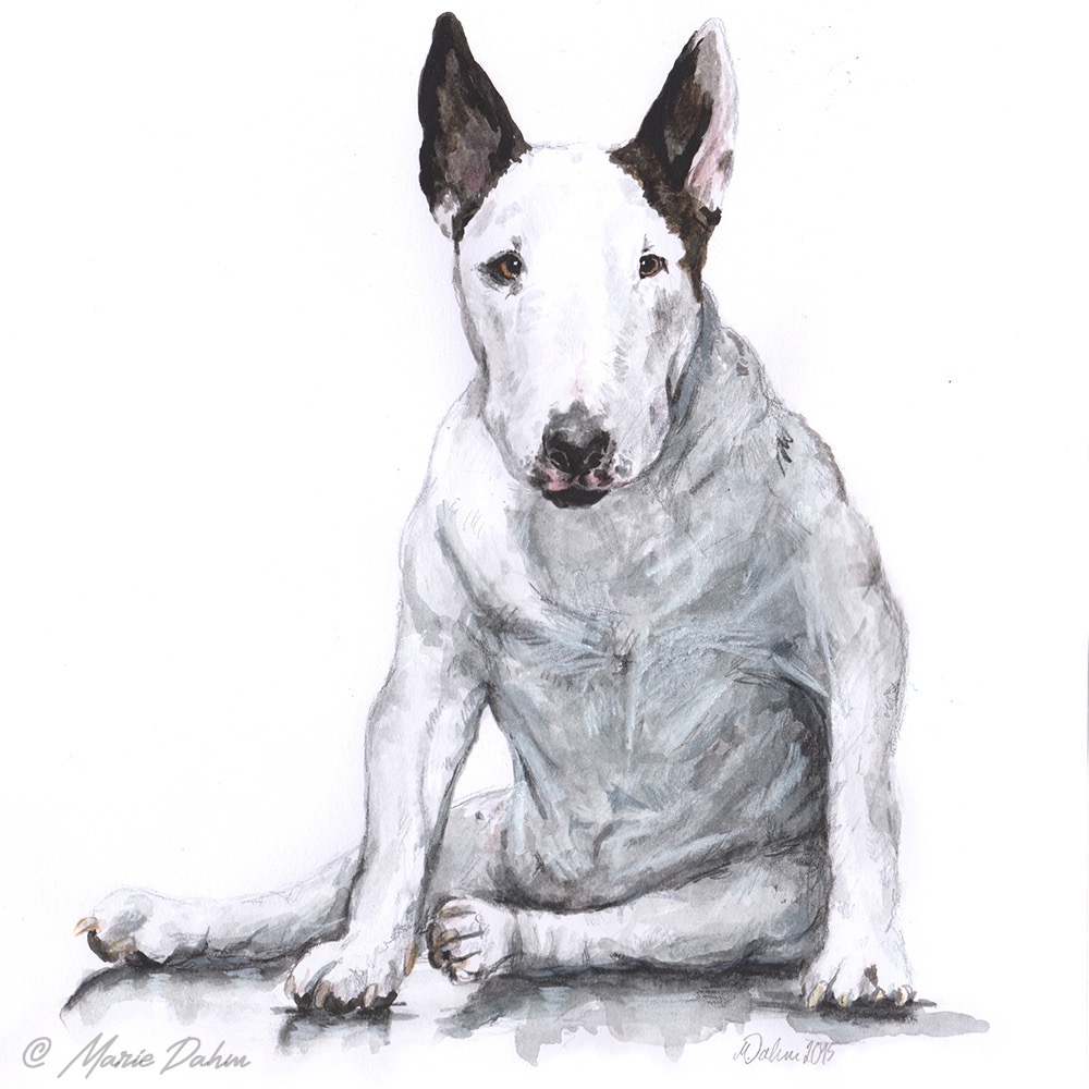LuluBully watercolour illustration by MarieDahm 1000px