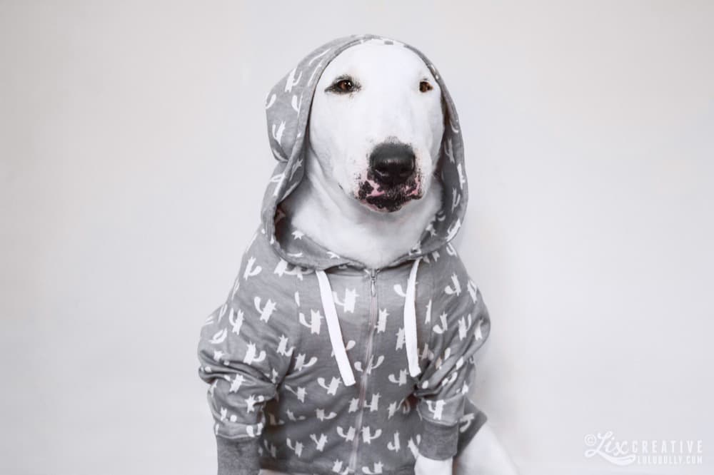 LuluHoodie 9580
