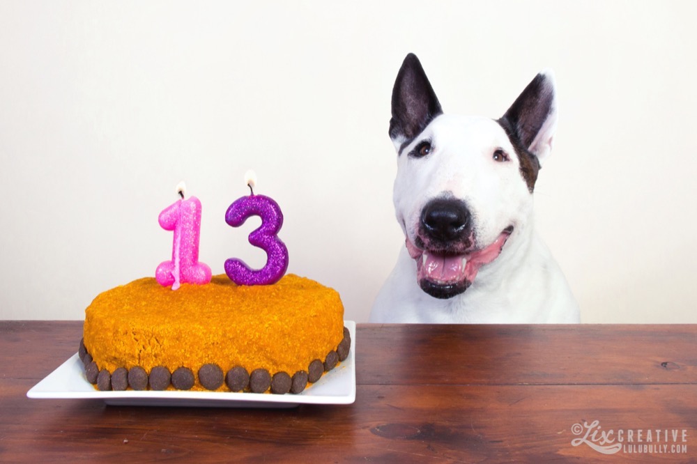 Lulu 13th Birthday Jan1216 8977 Watermarked 1