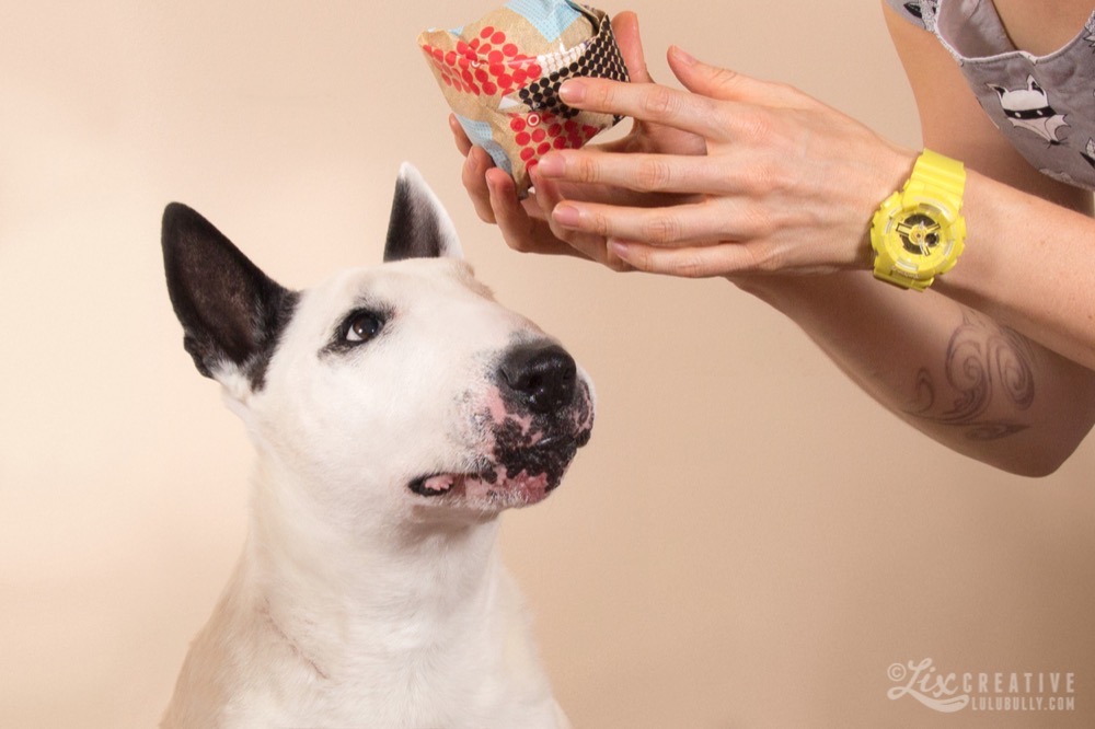 Lulu 14th Birthday 0963 crop Watermarked 1