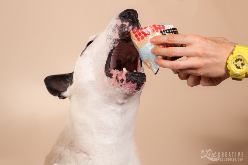 Lulu 14th Birthday 0966 crop Watermarked 1