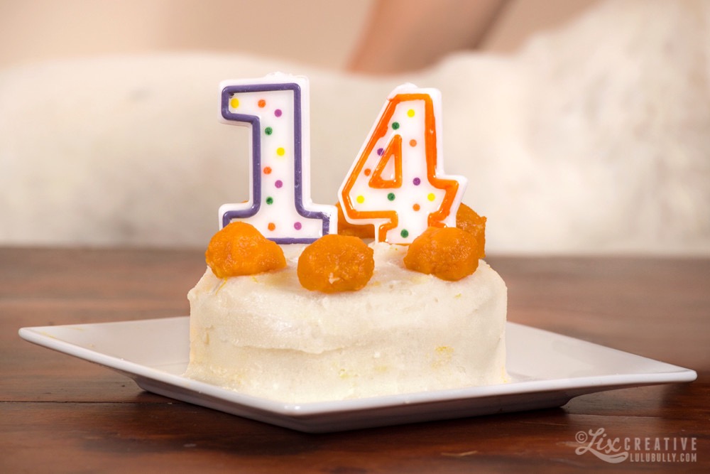 Lulu 14th Birthday 0977 crop Watermarked 1