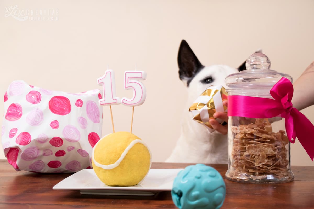 Lulu 15th birthday 2018 1995