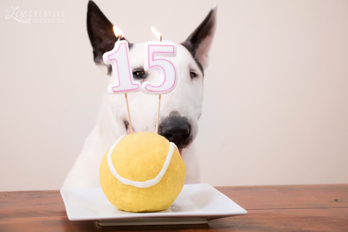 Lulu 15th birthday 2018 2044