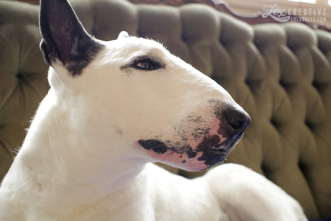 Lulu Flower Girl 80D Test 0452 1100px WM