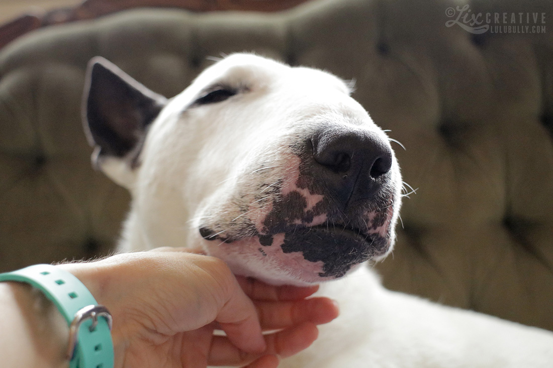Lulu Flower Girl 80D Test 0457 1100px WM