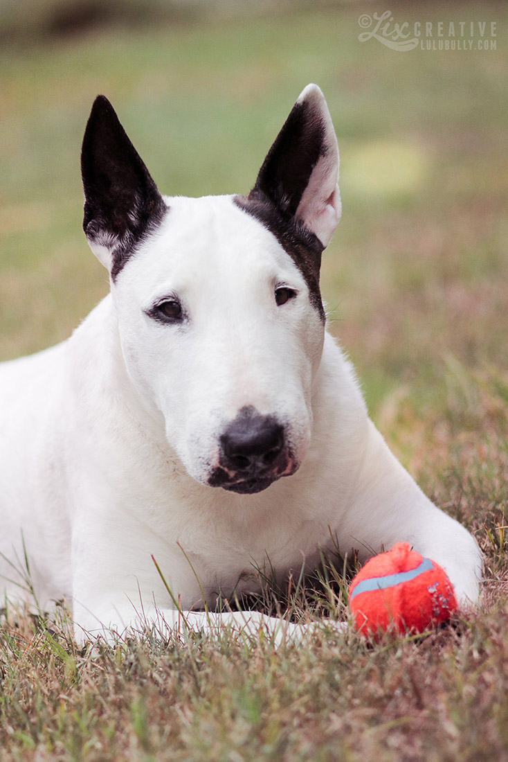 Lulu Flower Girl 80D Test 0504 1100px WM