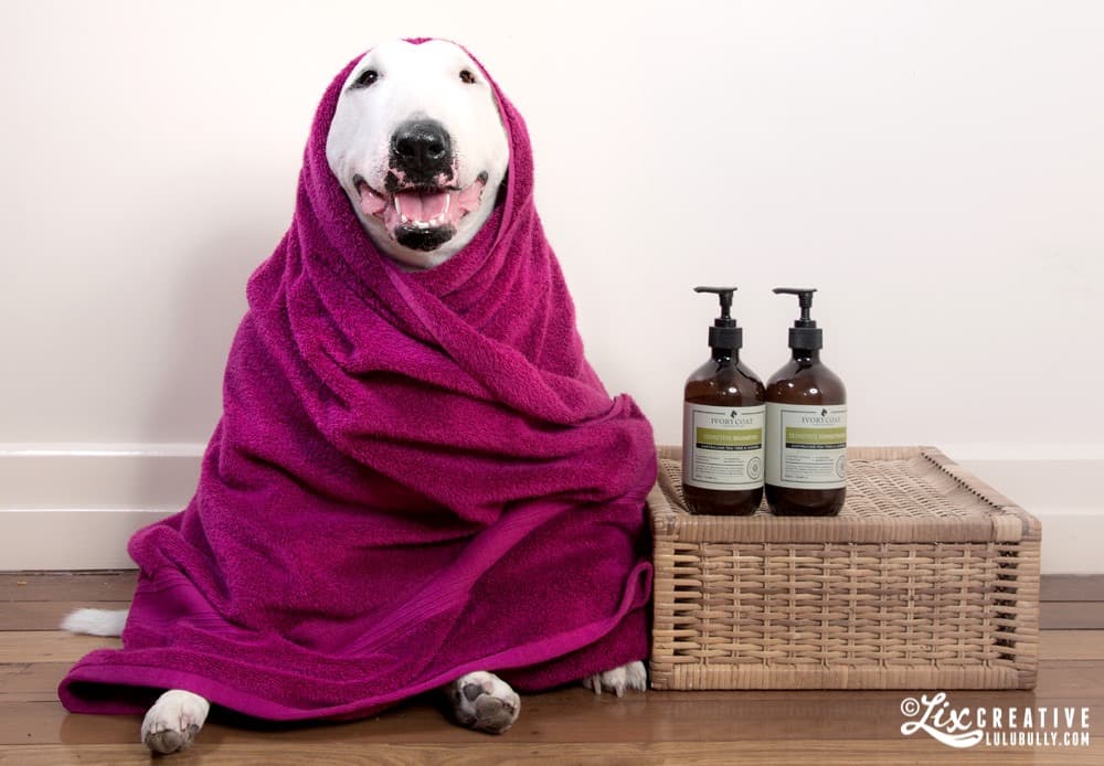 Lulu Health Blog Bathtime 9183