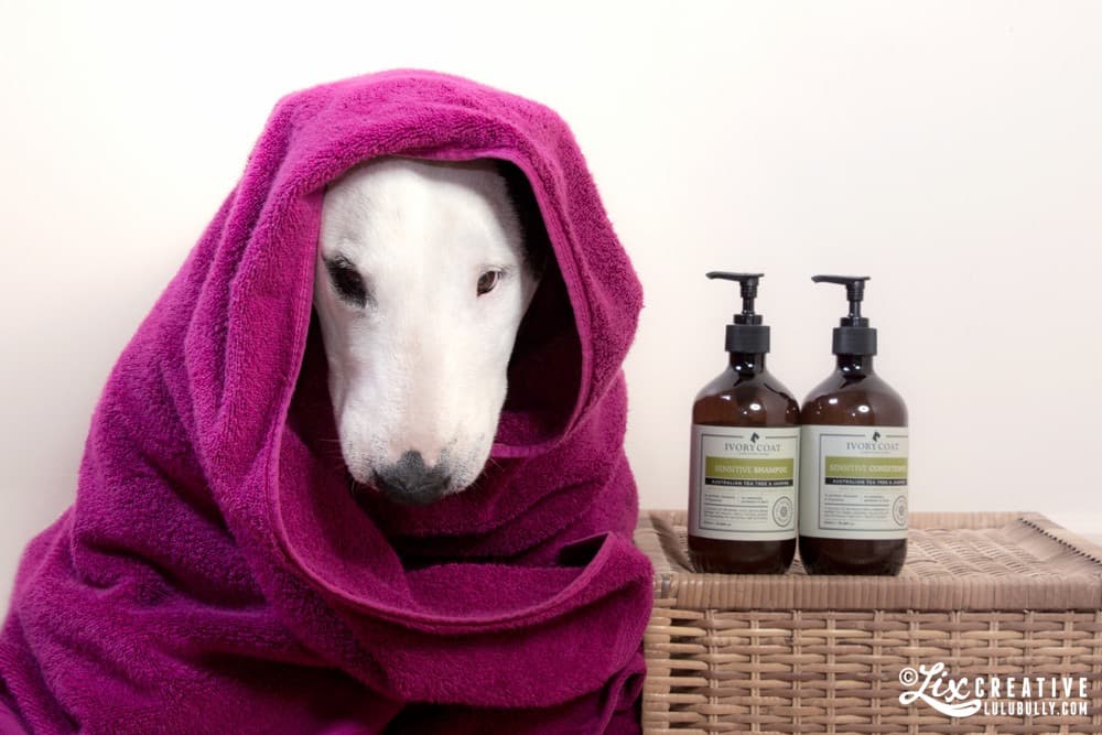Lulu Health Blog Bathtime 9197