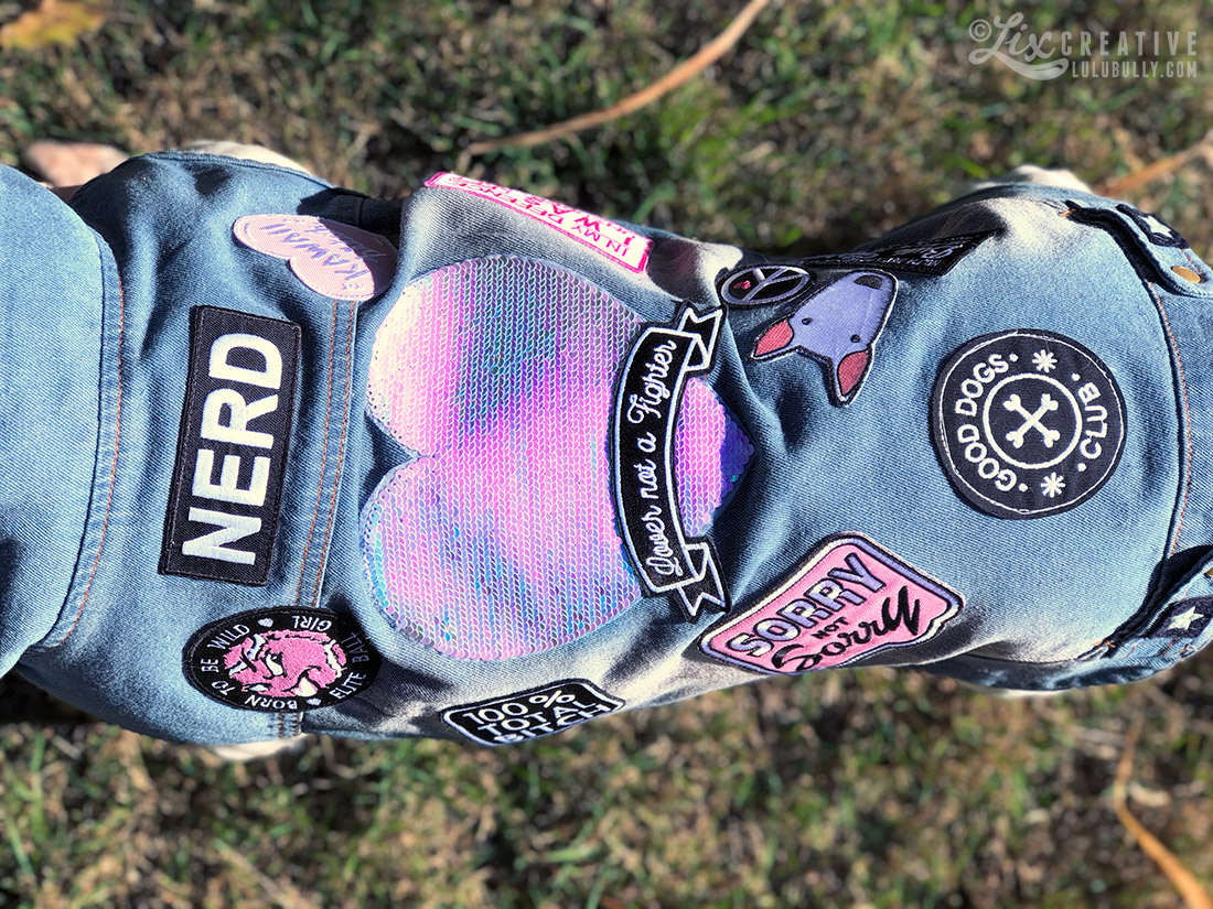 Lulu Kawaii Bitch Denim Dog 3664 1100px WM